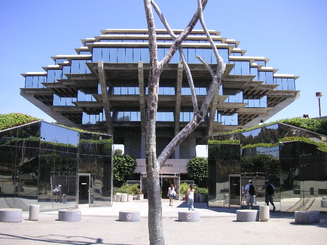 PICT0214 Geisel biblioteket. I forgrunnen tror du kanskje det står et vanlig tre? Nei, i virkeligheten er dette en skulptur, laget av metall. Det er masse bra kunst over hele området
