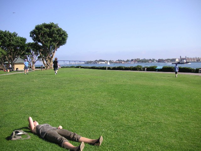 PICT0216 Nina har ikke kommet seg opp igjen... Ingen hjelp å få