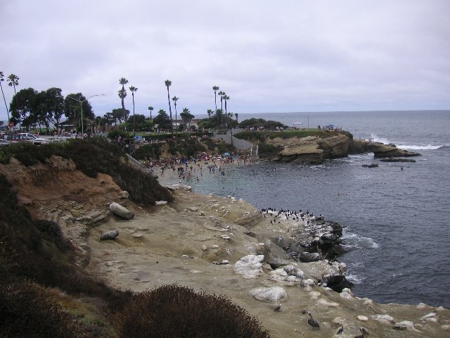 PICT0279 Som sagt: Fugl og mann hand i hand