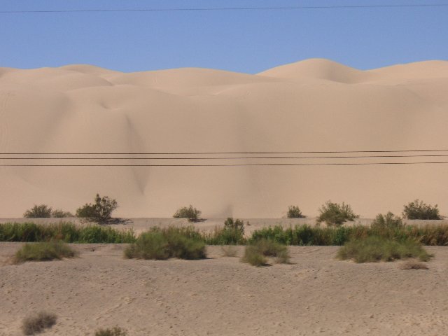 PICT0526 Det er her Donald Duck pleier å begynne å få hallusinasjoner