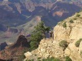 PICT0449 Det går en sti helt ned til bunnen av Grand Canyon. Det tar en dag å gå ned, og en dag opp. Hvert år er det ca 250 redningsaksjoner. (Alltid noen luringer som skal prøve å ta hele turen på en dag!)
